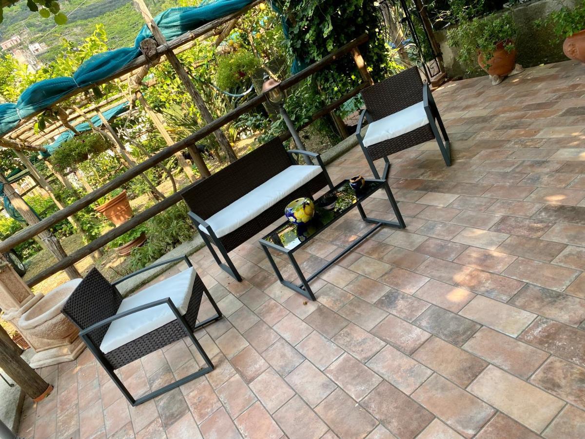 Il Limoneto Di Teresa Amalfi Coast Daire Maiori Dış mekan fotoğraf