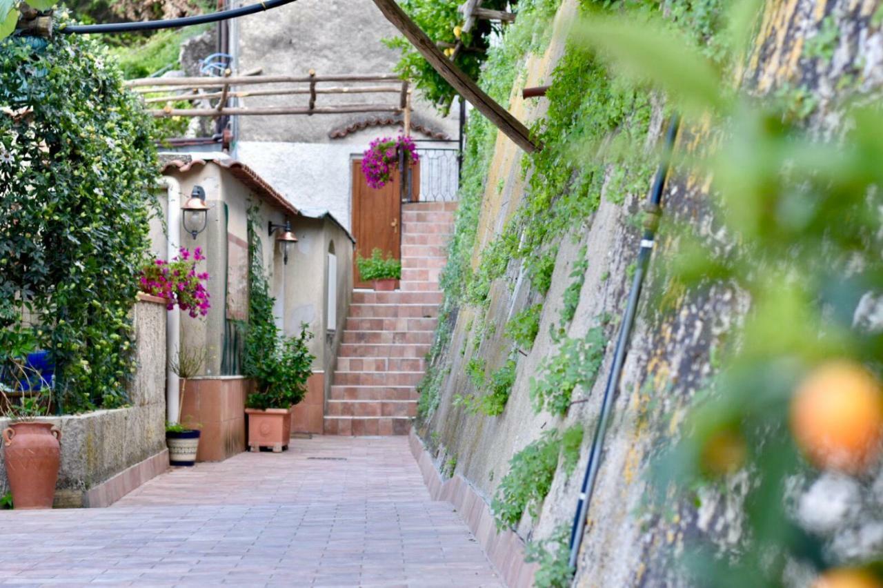 Il Limoneto Di Teresa Amalfi Coast Daire Maiori Dış mekan fotoğraf