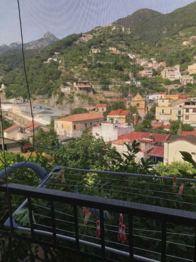 Il Limoneto Di Teresa Amalfi Coast Daire Maiori Dış mekan fotoğraf